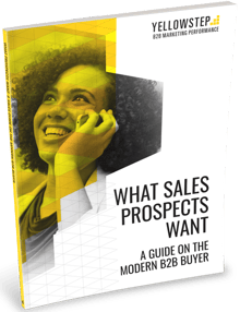 What sales prospects want guide